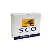 SCO Open Server 5.0.5企业版