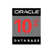 甲骨文 Oracle 10g 标准版(10用户)