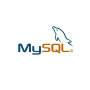 MySQL Enterprise silver