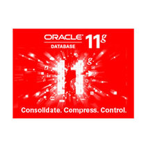 甲骨文 Oracle 11g 标准版 1个CPU产品图片主图