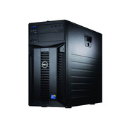 戴尔 PowerEdge T310(Xeon X3430/2GB*4/300GB*2)
