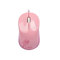 新盟 107天玄星鼠USB口 粉色产品图片1