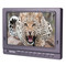 视瑞特 ST-700AH7寸高清监视器 单反相机伴侣 摄影摄像产品图片1
