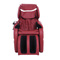艾斯凯 /ACK-802按摩椅 家用太空舱零重力豪华按摩椅多功能电动沙发椅 红色产品图片2