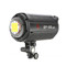 金贝 太阳灯 EF-100 常亮灯LED摄影灯摄像灯无闪儿童影楼专业摄影棚套装 套餐一产品图片3