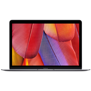 苹果 MacBook MF855CH/A 2015款 12英寸笔记本(5Y51/8G/256G SSD/核显/MacOS/银色)