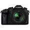 松下 Lumix DMC-FZ1000 数码相机 黑色 4K(1英寸大底CMOS 2090万像素 F2.8-4.0 16倍光学变焦)产品图片3