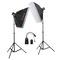 金贝 CALER EII250双灯套装 影室闪光灯摄影棚柔光灯箱套装 拍照设备摄影器材产品图片1
