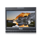 瑞鸽 TL-S900HD 监视器 9寸 SDI HDMI 5D2 3 摄像导演型监视器产品图片1
