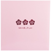 NCL  日本原装进口相册 diy 生日礼物 相册簿 毕业、生日、纪念日 婚礼系列 玫瑰花语 73582-粉色产品图片主图