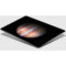 苹果 iPad Pro ML0N2CH/A 12.9英寸平板电脑(A9X/128G/2732×2048/iOS 9/WIFI版/深空灰色)产品图片4