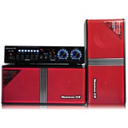 纽曼  SA-890 家庭影院音箱KTV音响套装卡拉OK功放 电视卡包音箱低音炮 会议舞台卡包箱 红色