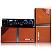 纽曼  SA-890 家庭影院音箱KTV音响套装卡拉OK功放 电视卡包音箱低音炮 会议舞台卡包箱 橙色
