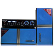 纽曼  SA-890 家庭影院音箱KTV音响套装卡拉OK功放 电视卡包音箱低音炮 会议舞台卡包箱 蓝色