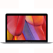 苹果 MacBook MJY32CH/A 2015款 12英寸笔记本(5Y51/8G/256G SSD/核显/MacOS/深空灰色)
