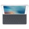 苹果 iPad Pro 9.7英寸平板电脑（苹果A9 2G 32G 2048×1536 iOS9 WLAN）深空灰产品图片3