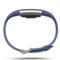 Fitbit Charge 2 智能时尚心率手环 心率实时监测 自动睡眠记录 来电显示 VO2Max测量 蓝色小号产品图片3