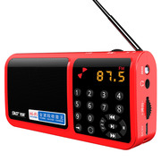 先科 N-520 收音机插卡音箱 音响便携式迷你音乐播放器老人小音响低音炮广场舞老年随身听 红色