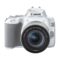 佳能 EOS200DII200D2迷你单反相机数码相机EF-S18-55mmf4-5.6ISSTM白色Vlog相机视频产品图片1